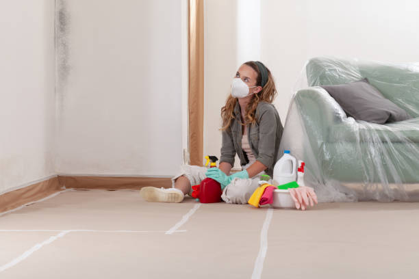 Reliable Mold Remediation contractor in Minnesota, MN by WQB Mold Removal